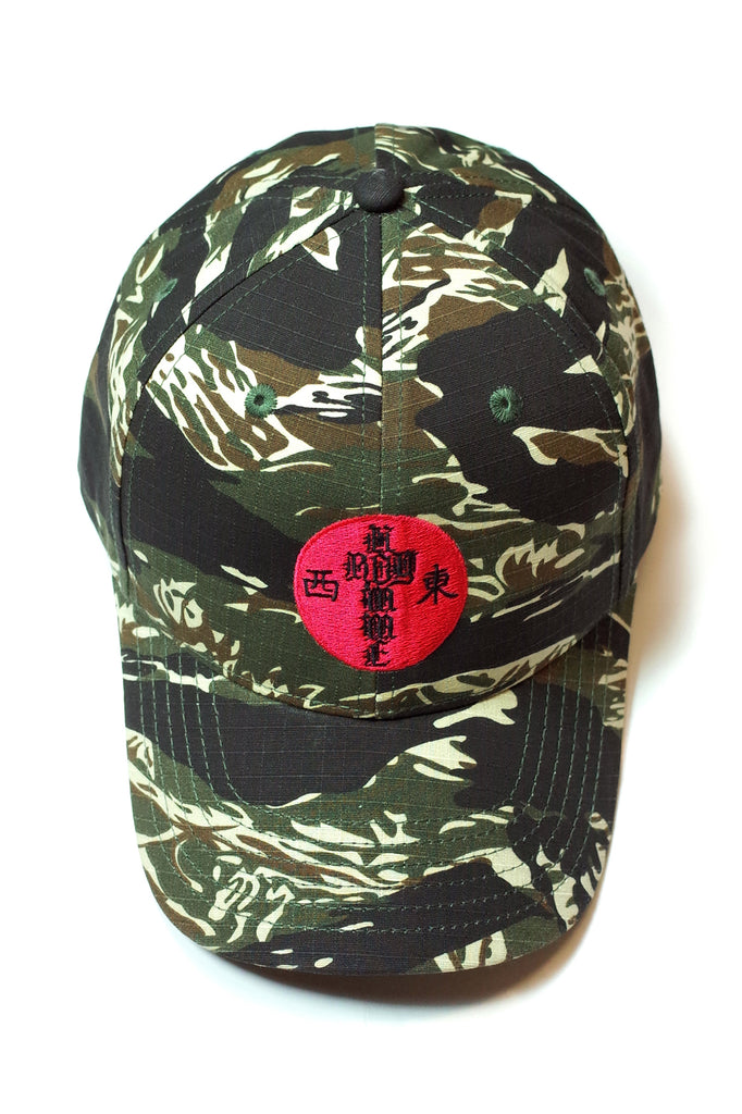 Cap. 17 - HOMME 'X'