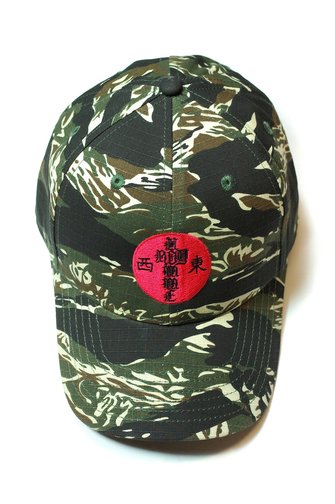 Cap. 17 - HOMME 'X'